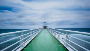 Youth Forward 2016 - Our Winners Supporting Teen Volunteerism Youth Forward 2016 - Our Winners Supporting Teen Volunteerism