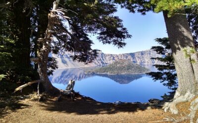 Unlock Big Savings and Safer Driving with Oregon’s Defensive Driving Course