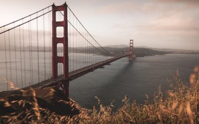 California Behind-the-Wheel Training for Safe Driving – DMV Certified