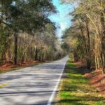 Master the Road with South Carolina Drivers Ed Online: Tailored for Teens! Master the Road with South Carolina Drivers Ed Online Tailored for Teens!