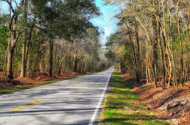 Master the Road with South Carolina Drivers Ed Online: Tailored for Teens!