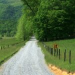 Why Tennessee Teens Should Take Drivers Ed Online