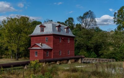 Virginia Drivers Ed Online: The Easy, Smart Way to Earn Your License