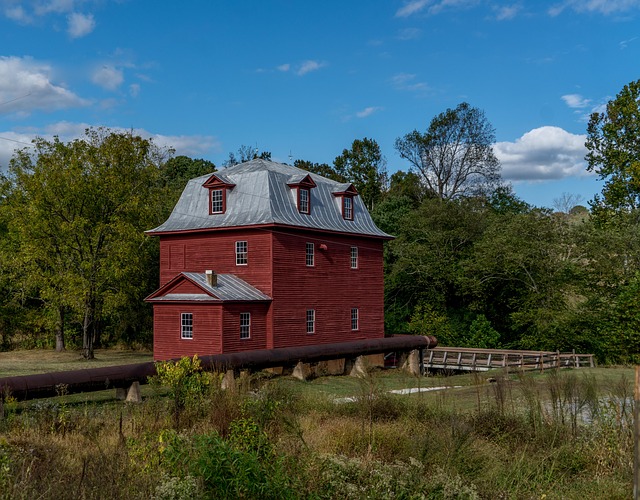 Virginia Drivers Ed Online: The Easy, Smart Way to Earn Your License
