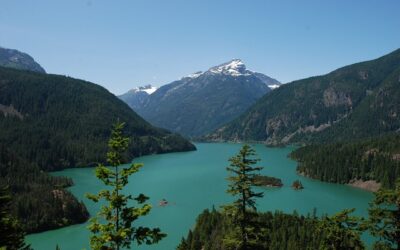 Washington Defensive Driving Course Save Money and Drive Smarter