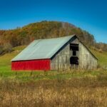 West Virginia Drivers Ed Online: Your Fast Track to Freedom (and a License!) West Virginia Drivers Ed Online Your Fast Track to Freedom (and a License!)