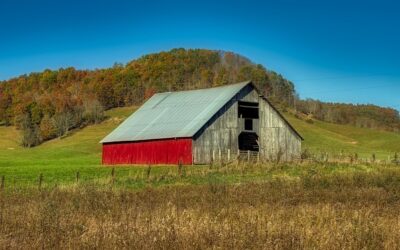 West Virginia Drivers Ed Online: Your Fast Track to Freedom (and a License!)