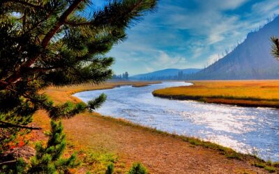 Protect Your Teen on Wyoming Roads with Online Drivers Ed